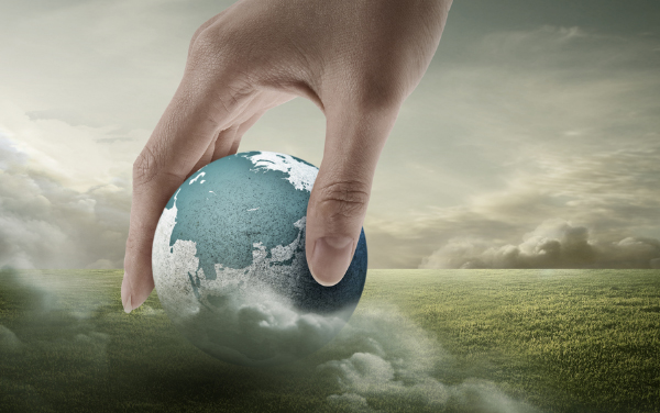 新昌bevictor伟德官网进出口有限公司