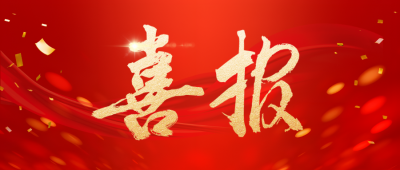 喜报!bevictor伟德官网实力上榜“2025民营企业发明专利500强”!